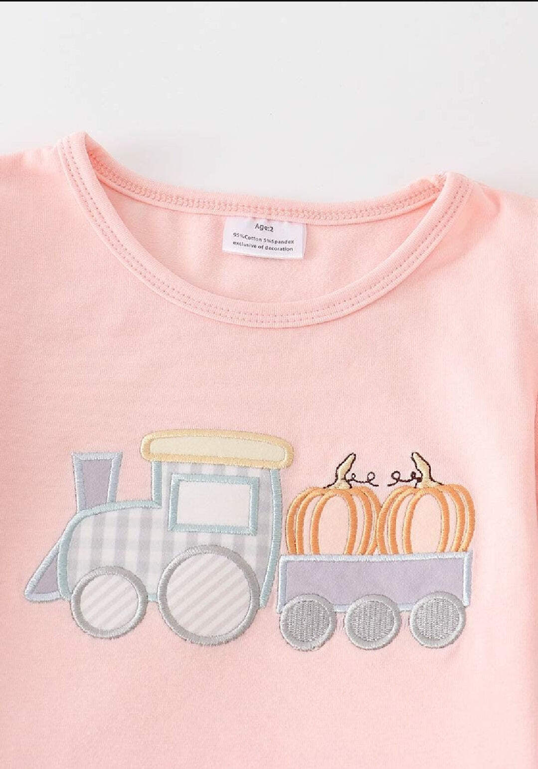 Girl’s Boutique Beige Pink Train Pumpkin Applique Embroidered Embroidery Thanksg