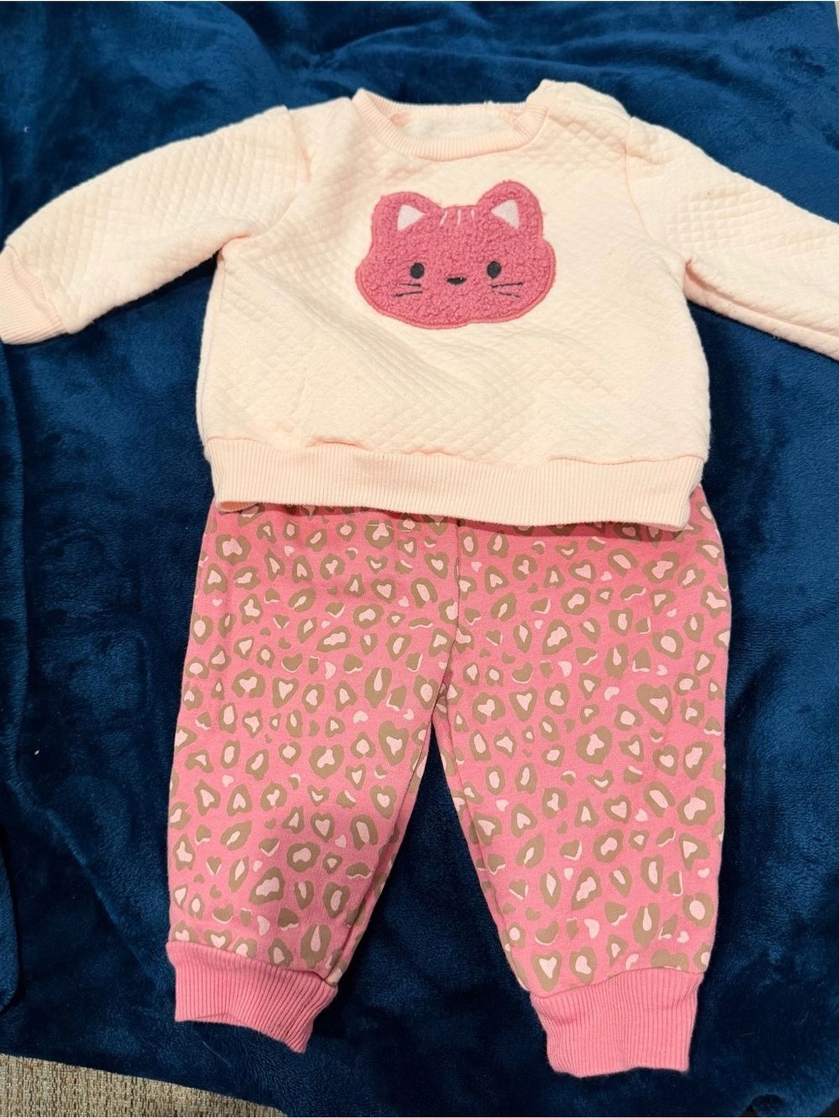 Pink Cat Applique Sweater & Leopard Jogger Set