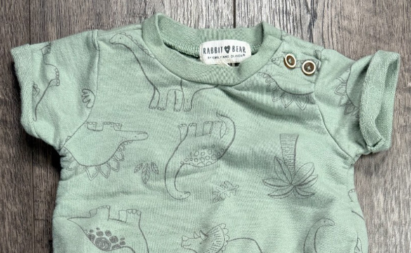 Baby Boy Clothes Rabbit Bear 3-6 Month 2pc Green Dinosaur Outfit