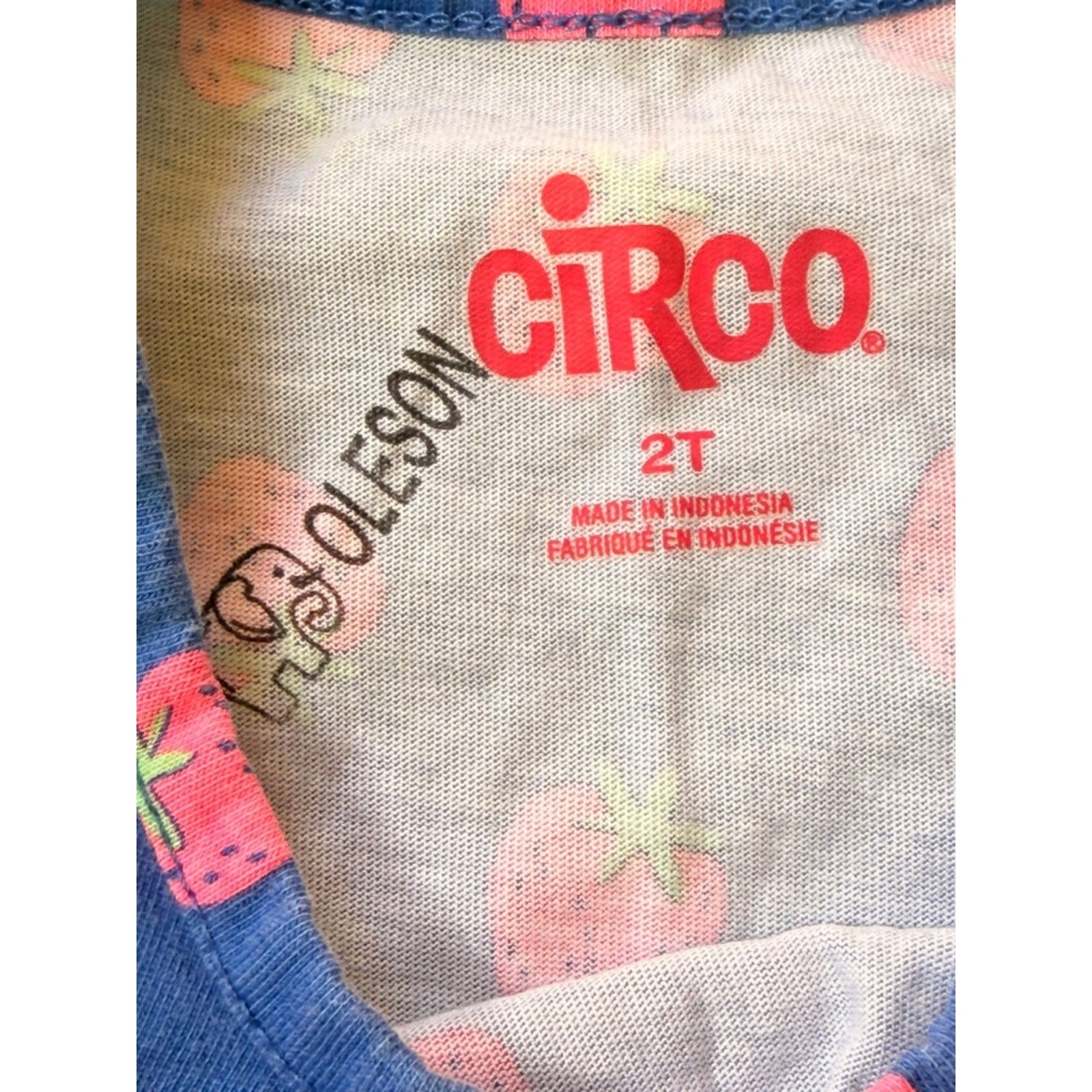 🍓 Carter’s Kids Soft Jegging Shorts Circo Strawberry Print Blue Tank Top 2T