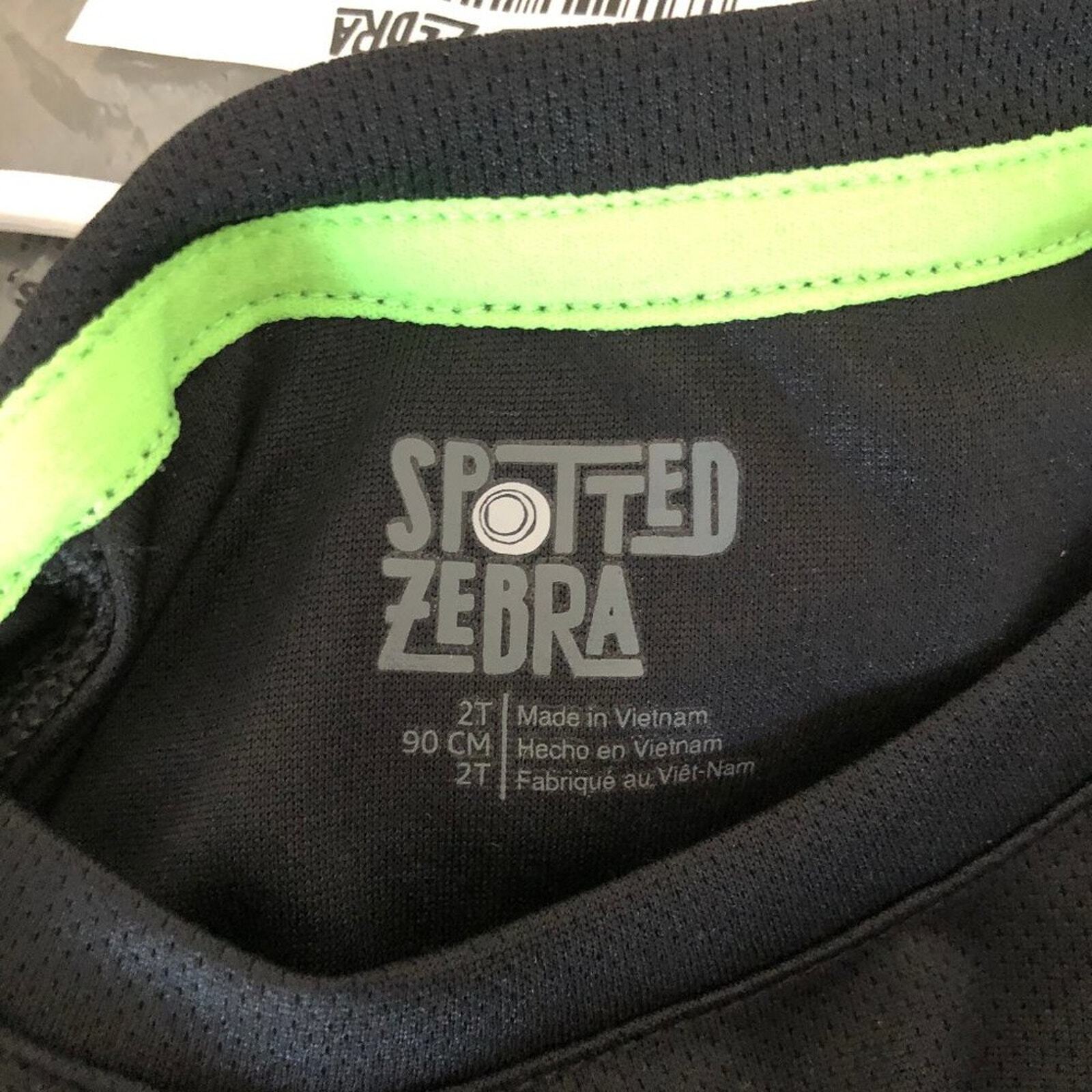 Spotted Zebra Boys Active T-Shirt and Short Set
