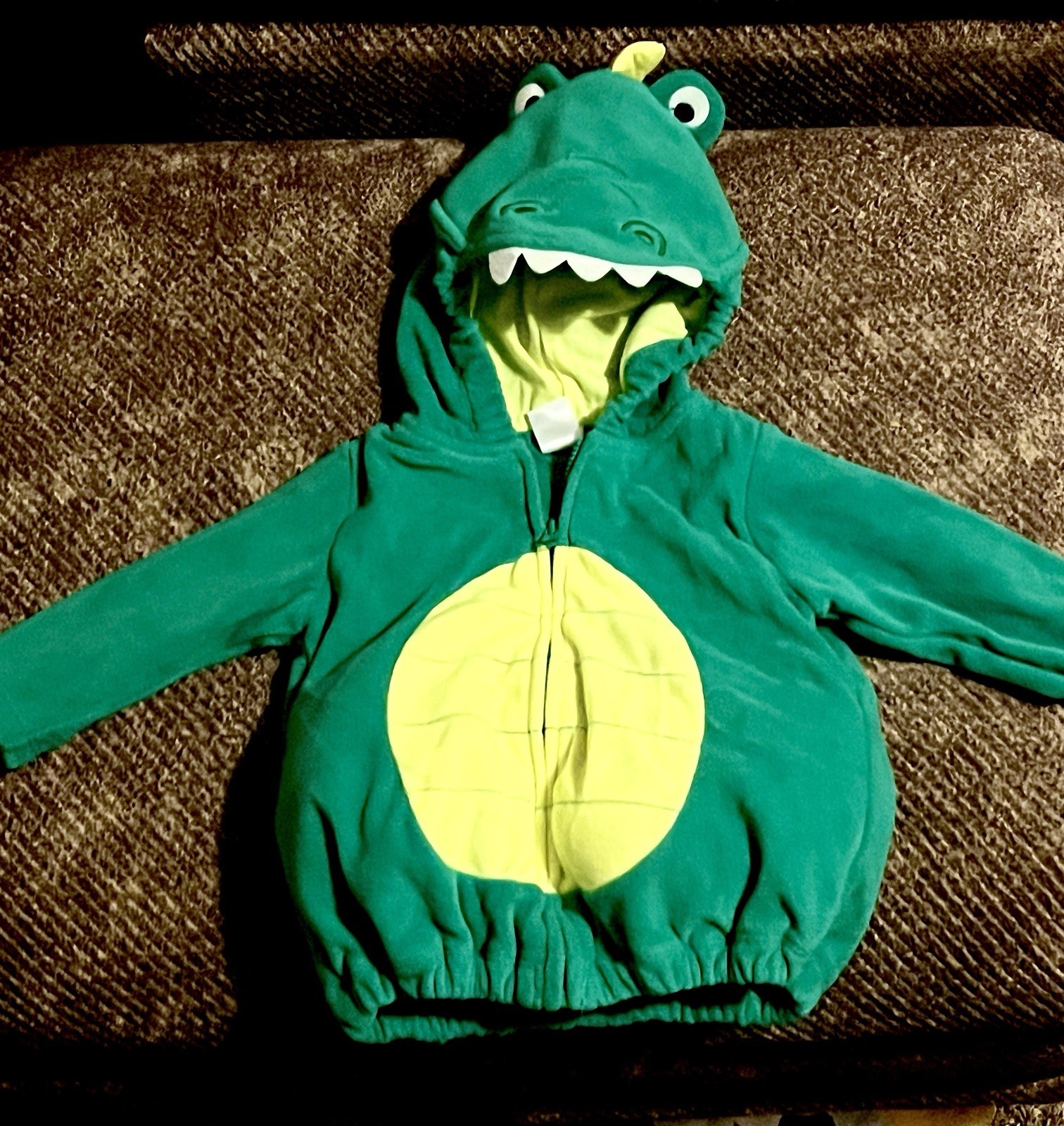 Carters 3-6 M 2 Piece Dinasour Outfit Costume Cozy Warm Fleece Cute Baby