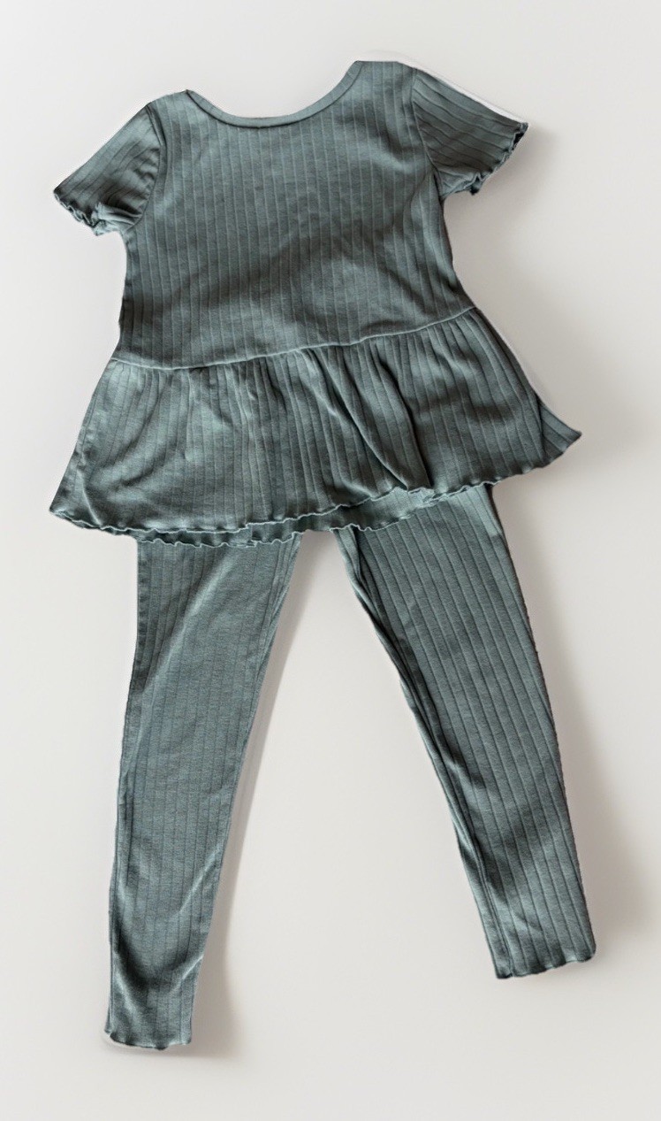 Carter’s Baby Girl 4T 2 piece pant set