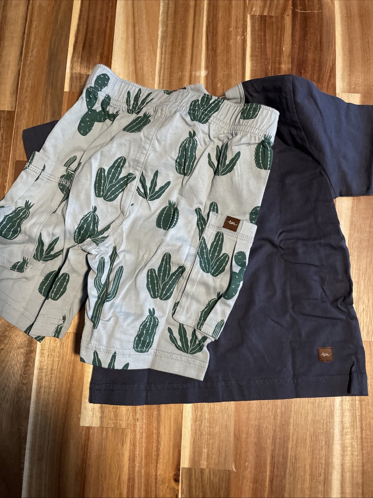 NWT TEA (from Nordstrom) Desert Lizard Baby Outfit, Indigo, 18-24 months