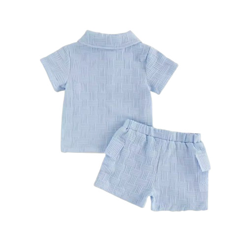 Toddler Boy Bird Embroidery Lapel Collar Short Sleeve Top with Elastic Shorts