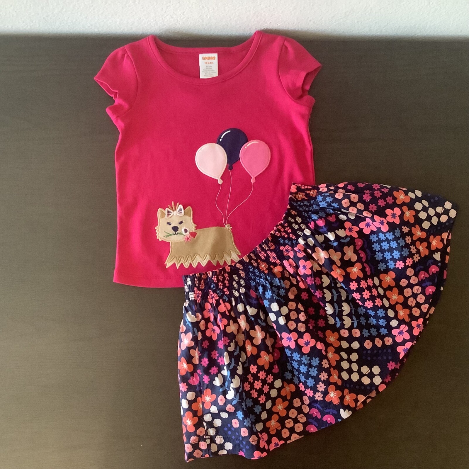 Gymboree Girl Skirt Set Elastic Waist Floral & NWT Embroidered Balloon Top 18-24