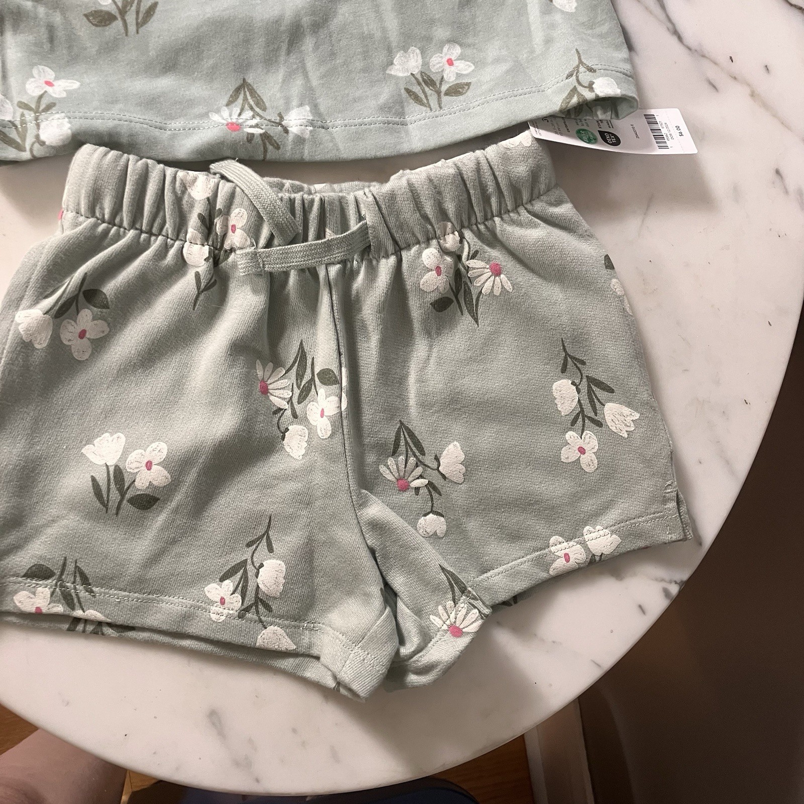 NWT Carters size 3T Light Green Floral Shirt & Shorts Set Girls