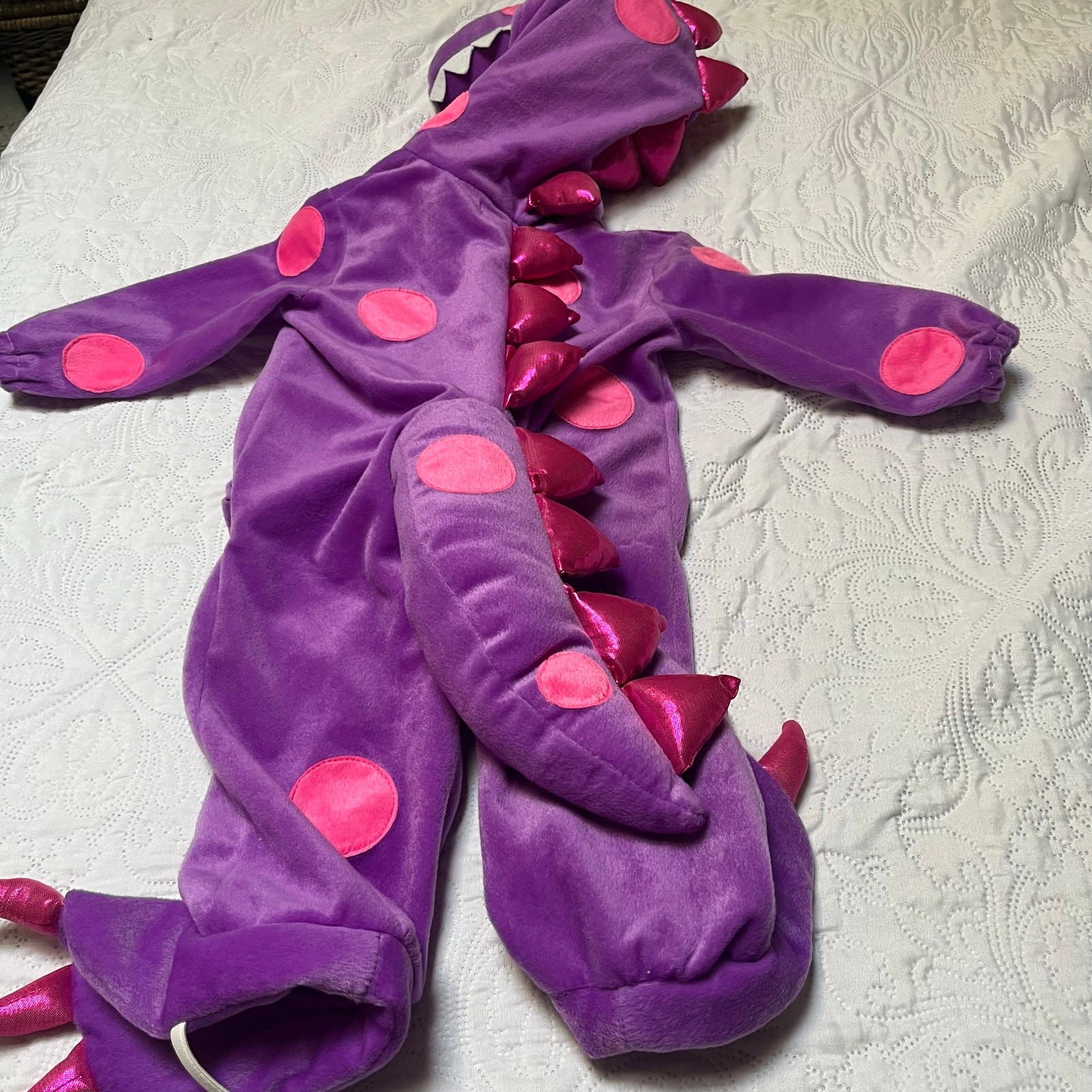 Princess Paradise Teagan the Dragon Halloween Costume 6-12m