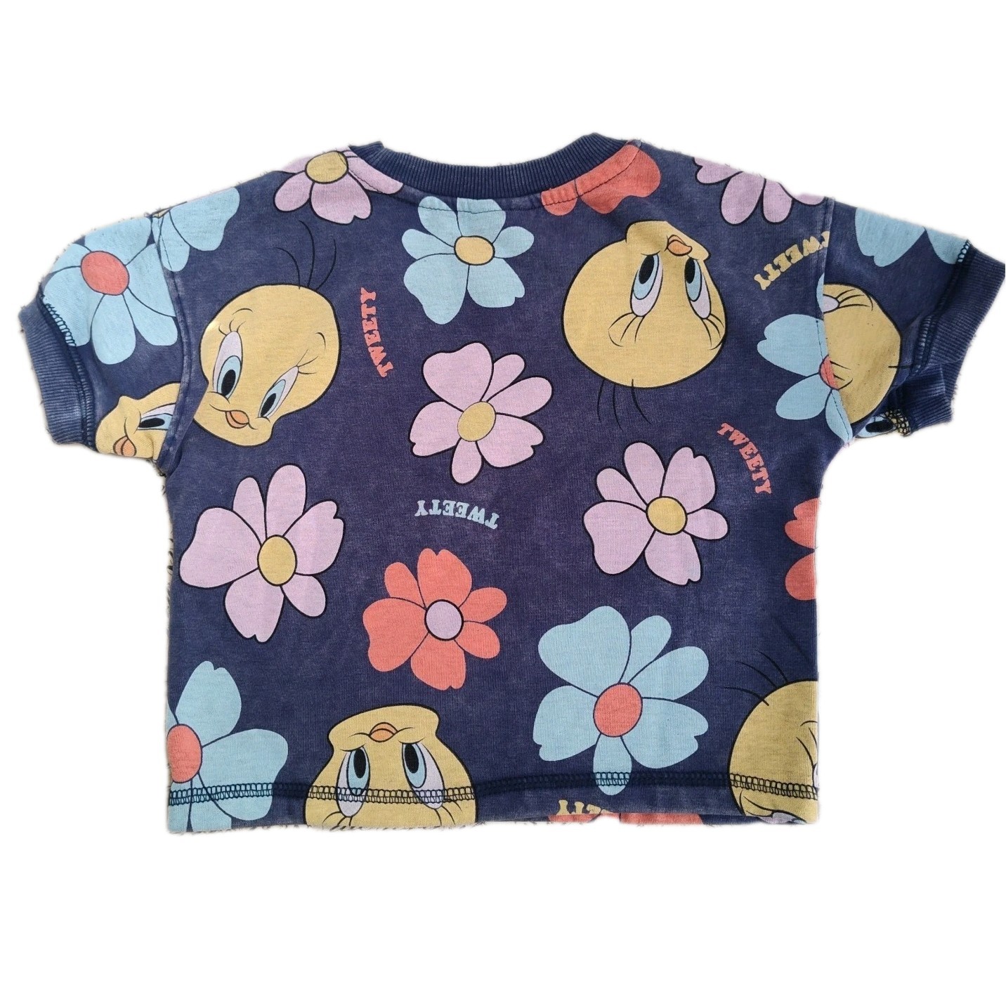 VTG Looney Tunes Shorts Set Size 2T Blue Tweety & Flowers 2-Piece Set