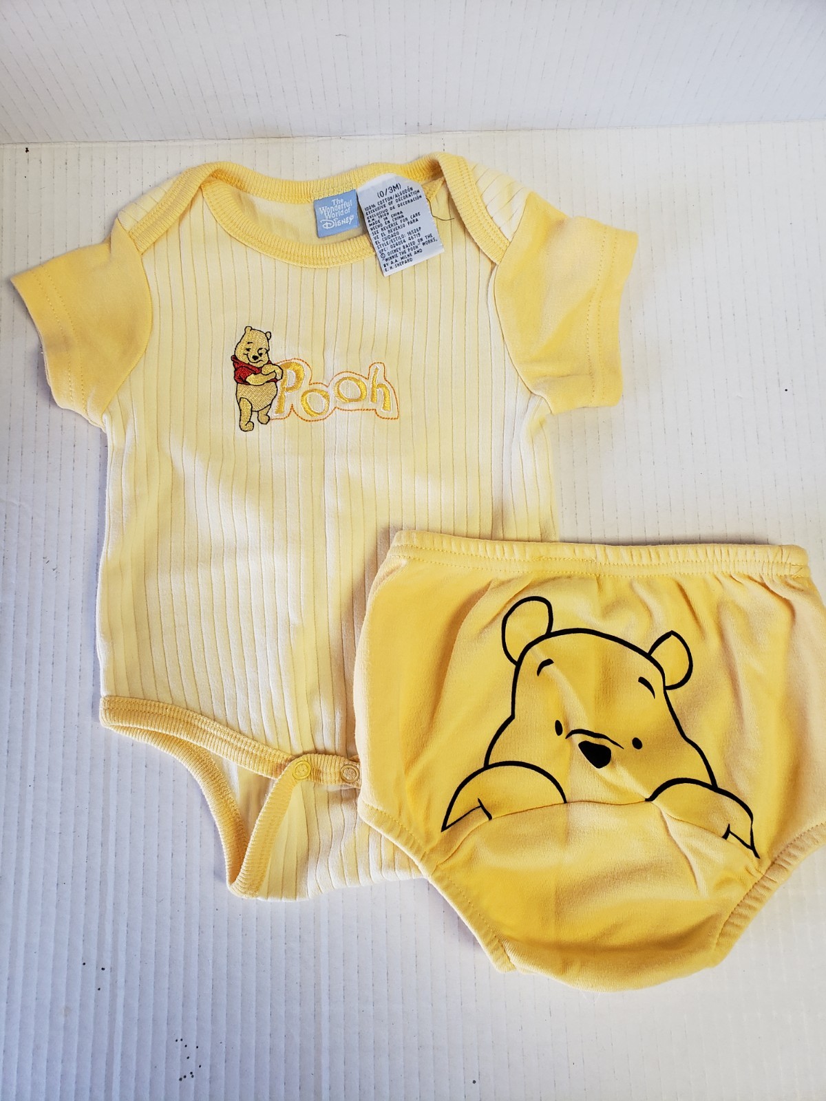 Disney’s Winnie The Pooh Bodysuit 2 Piece Set (0/3M)