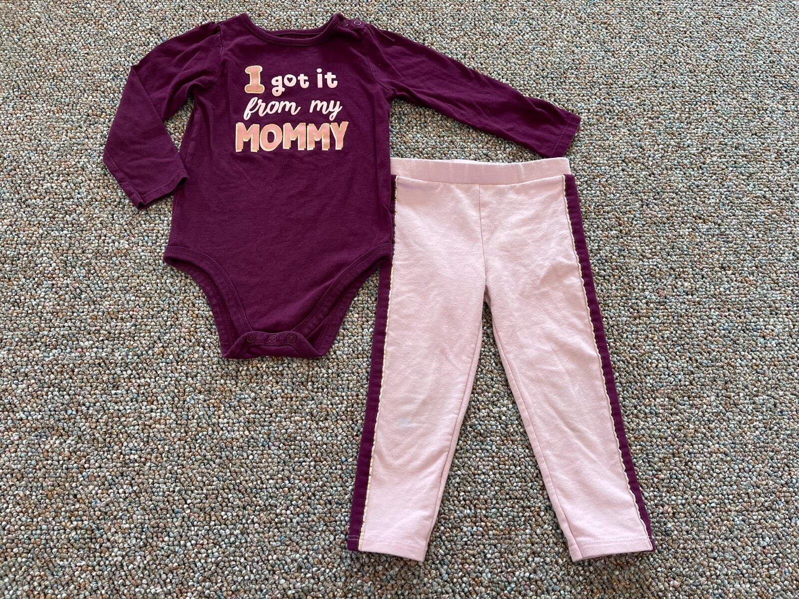 Garanimals Girls I Got It From My Mommy Outift 2T