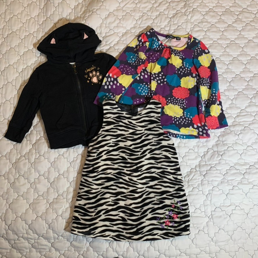 3-Piece Toddler Girl Clothing Set Floral Tunic Top Zebra Print Dress & Black Cat