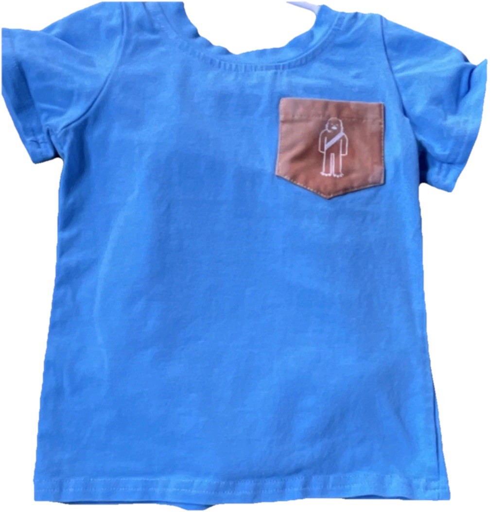 Sassy Stitches Blue Graphic Print Short Sleeve Top & Brown Bloomers Set Outfit