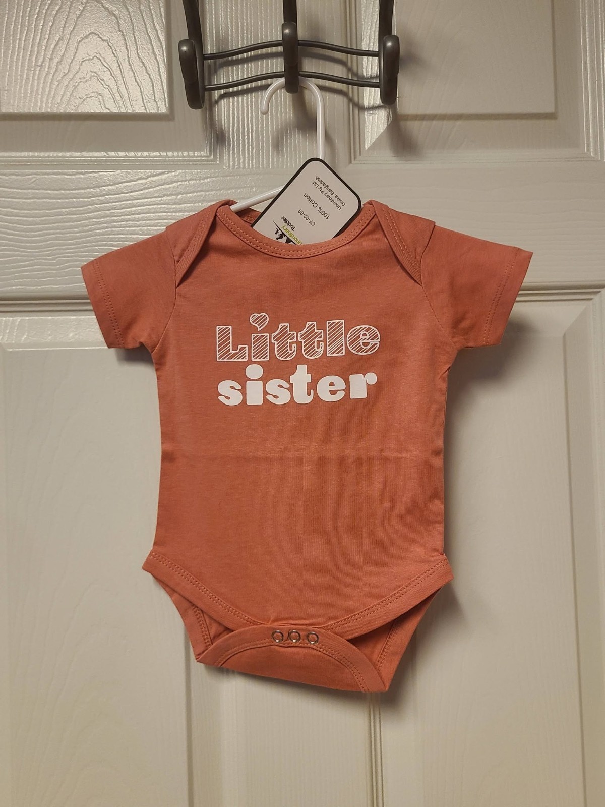 NEW Unordinary Toddler 3-6 Mo LITTLE SISTER Bodysuit One-Piece NWT Shirt Mauve