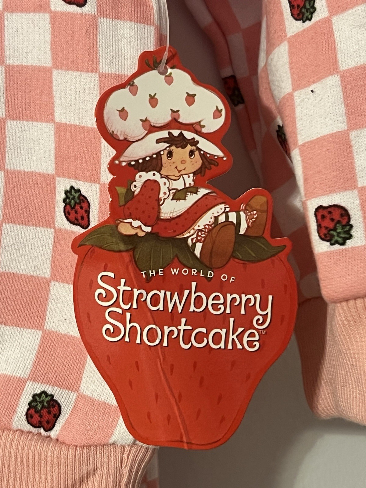 Strawberry Shortcake Toddler 18 Months 2 Piece Light Fleece NWT