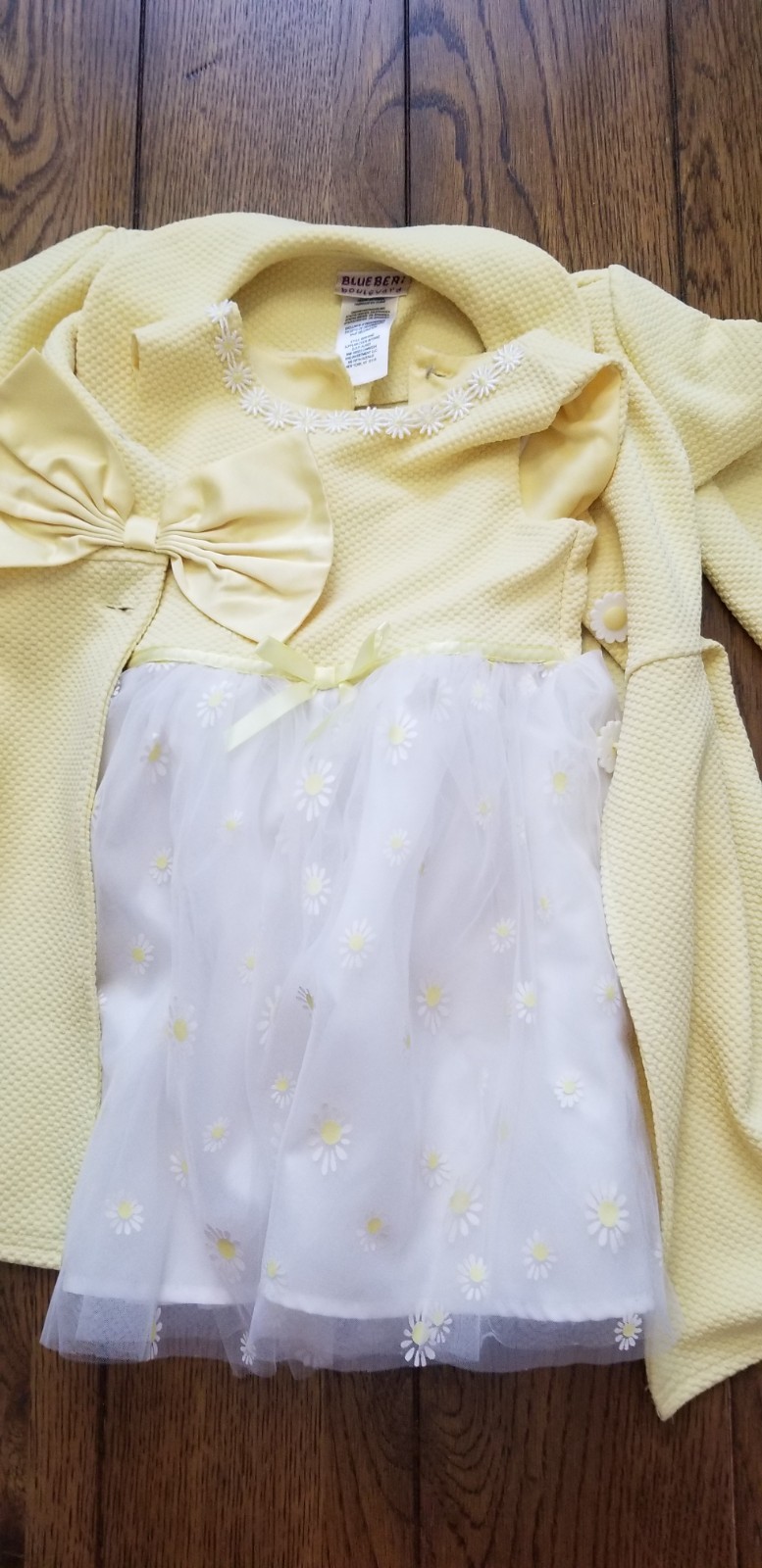Lot of 2 Lace Floral 4 year old girls dresses.