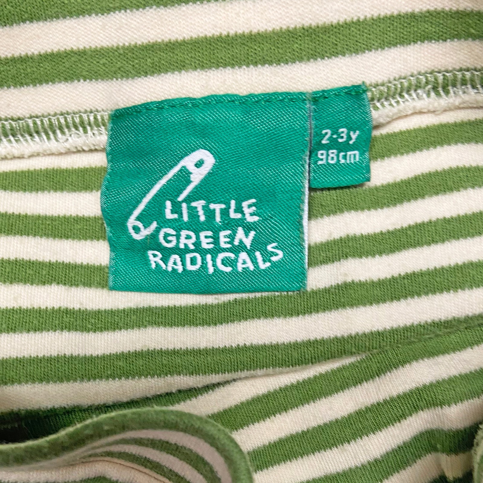 Little Green Radicals 2-Piece Top/Pants Set Size 2-3 Years Flowers Stripes *READ