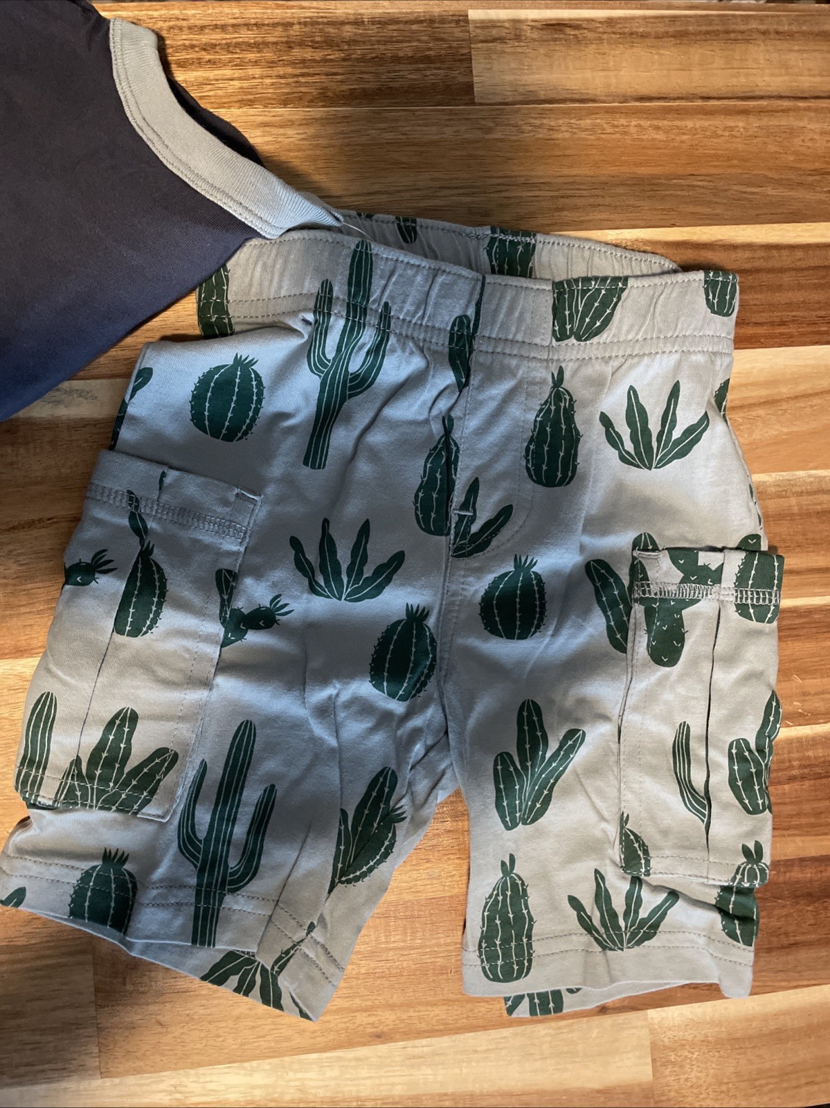 NWT TEA (from Nordstrom) Desert Lizard Baby Outfit, Indigo, 18-24 months