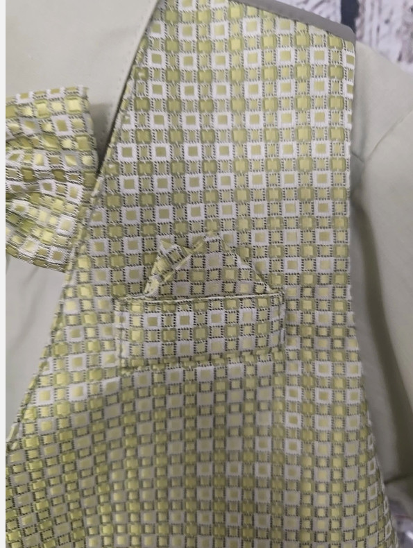 NWT Shannon Kids Boys 24M 5 Pc Suit Set Sage Green Vest Shirt Shorts Hat Tie