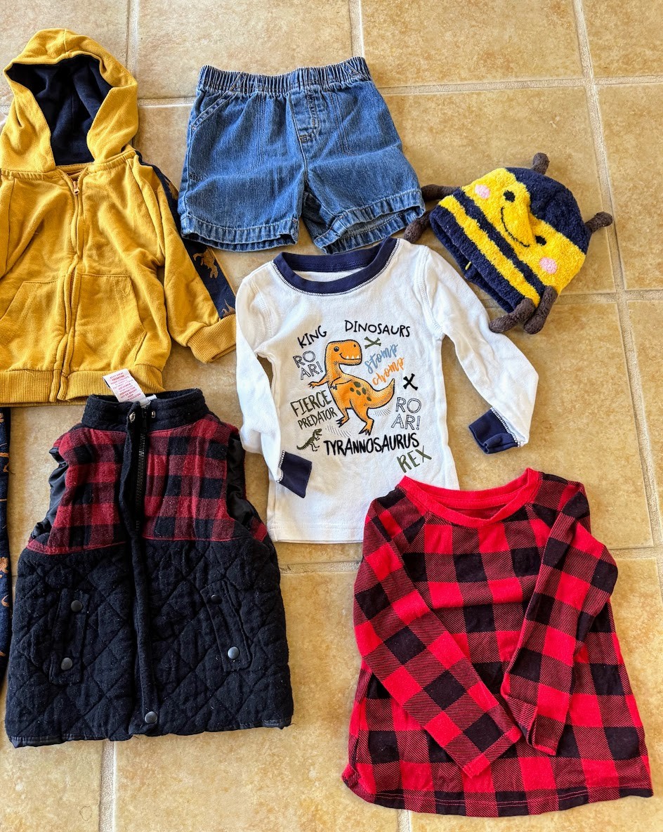 BOY Sz 24 mo/2T L/S Tops Pants PJs Hoodie Carters Tommy Bahama Huntington 15 Pcs