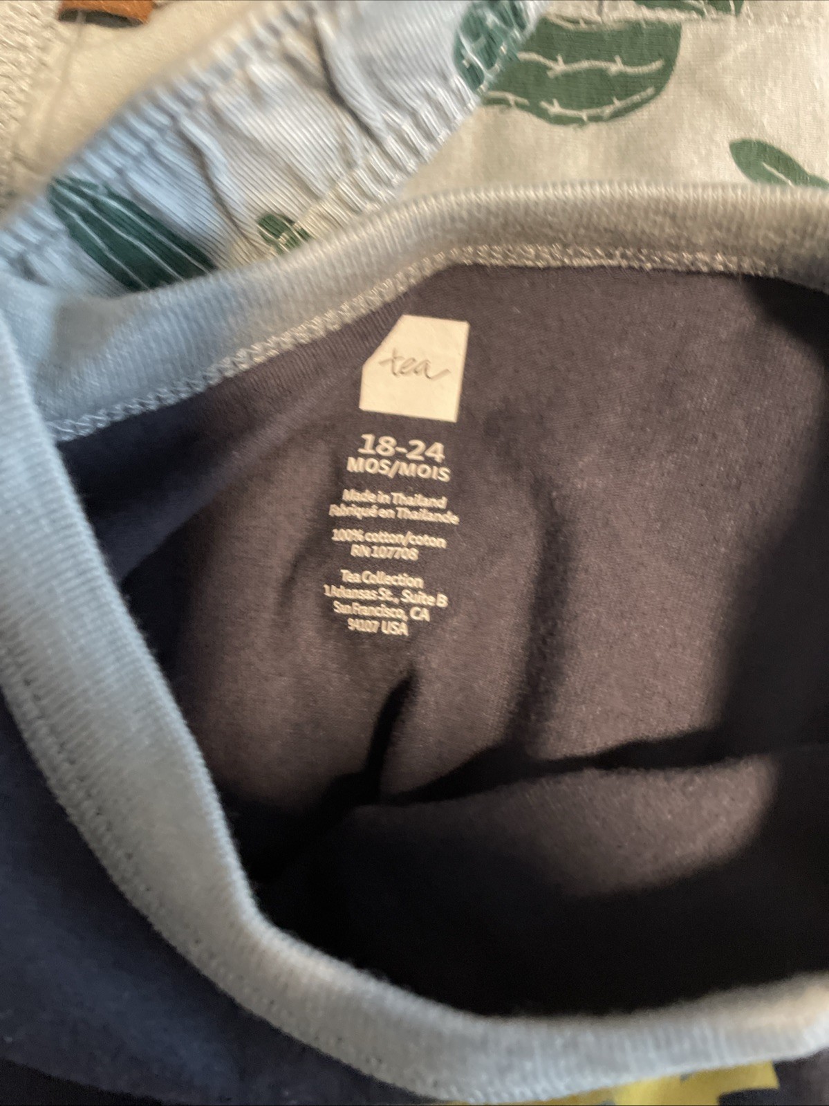 NWT TEA (from Nordstrom) Desert Lizard Baby Outfit, Indigo, 18-24 months
