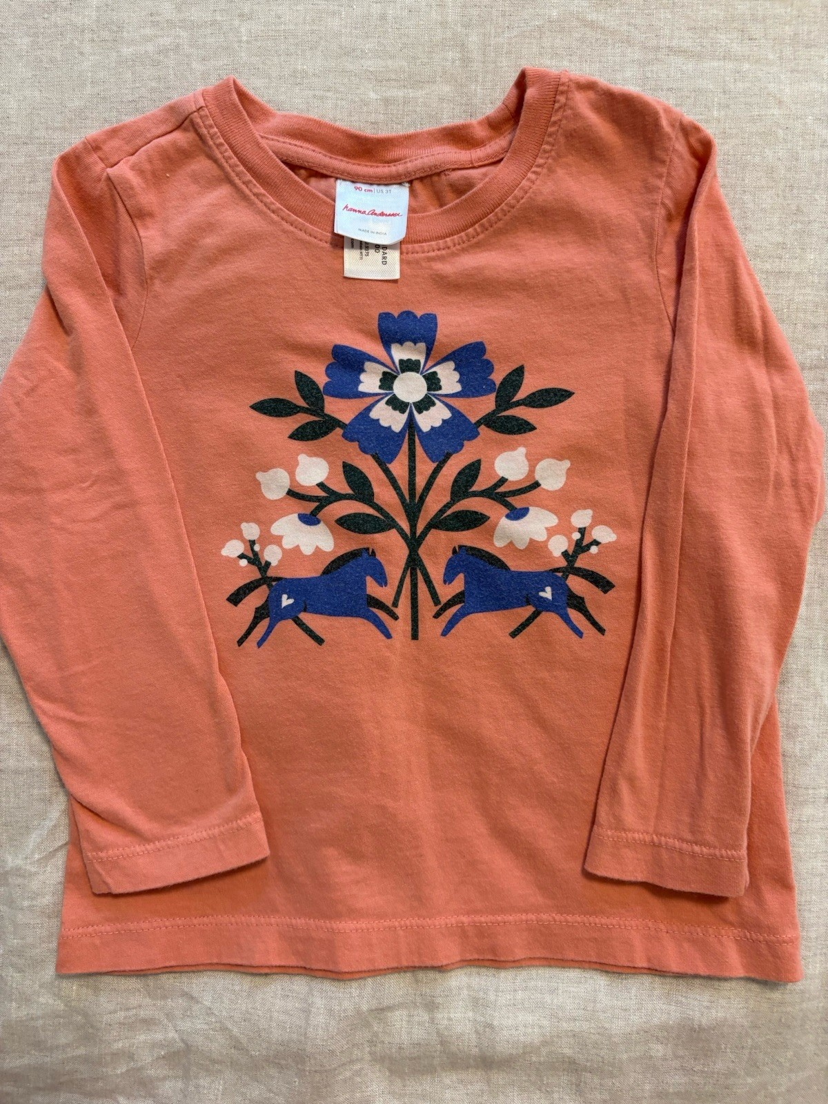 Hanna Andersson 3T Graphic Long Sleeve Tee Bundle