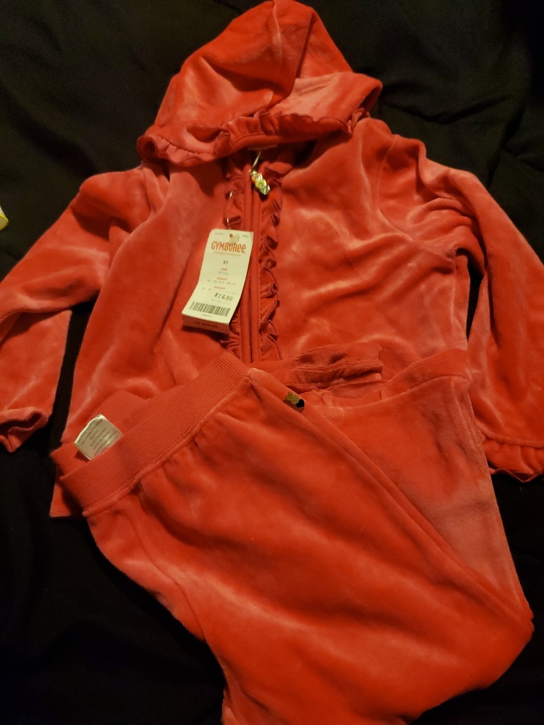 Gymboree Tyrolean Lure Velour Jacket And Pants Size 3T 2 Piece Set HTF