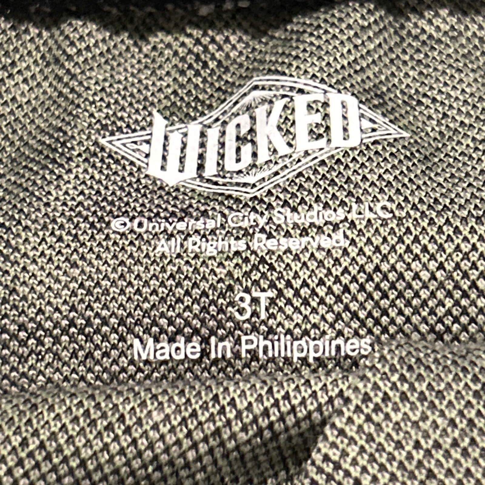 Wicked Universal City Studios toddler 3T Butterfly sweater shirt & skirt Set