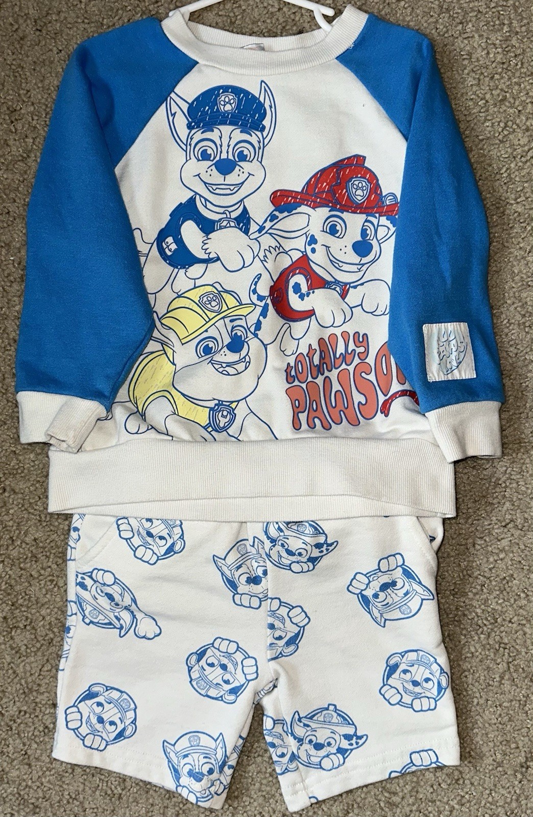 Nickelodeon Paw Patrol Long Sleeve Sweatshirt And Short Set Toddler Size 4T.