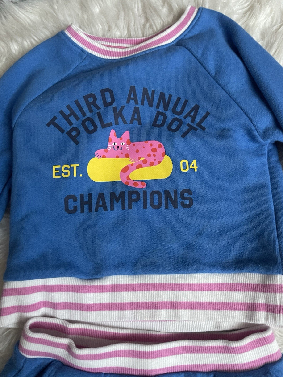 Girls 3T Blue 2Pc Skirt Set Cat Graphic Sweatshirt Outfit Pink Trim
