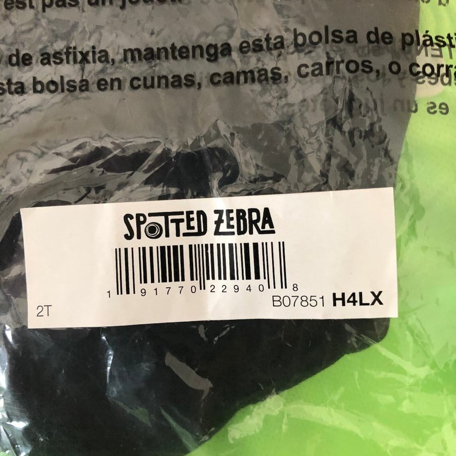 Spotted Zebra Boys Active T-Shirt and Short Set