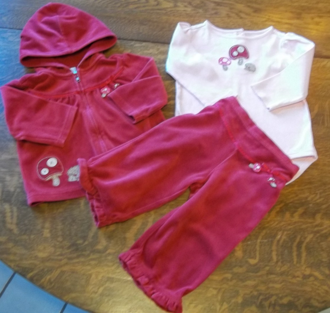 Gymboree Outdoor Whimsy velour pants hooded jacket bodysuit top 12-18 hedgehog
