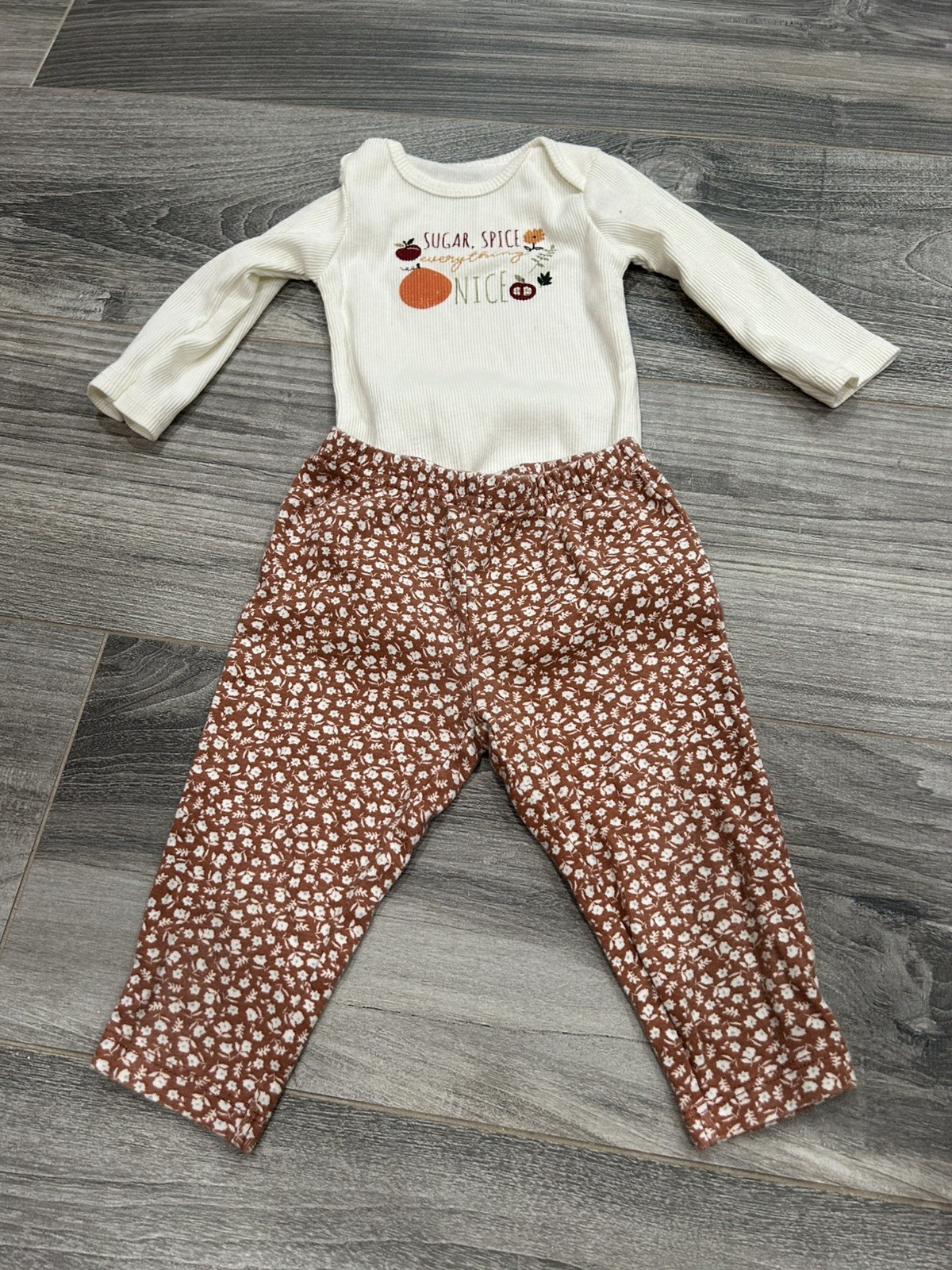 Infant girl outfit size 6-9 months by Baby gear & Carters
