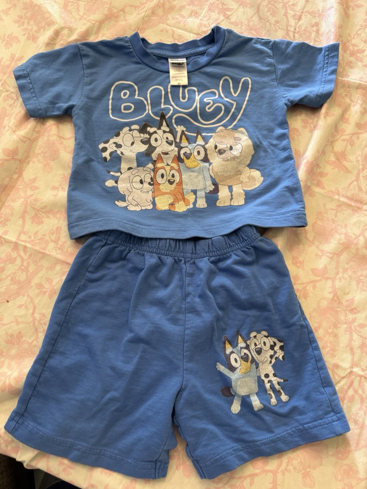 Bluey Boys 2T 2pc Shorts Set T-Shirt/Shorts Bluey Bingo Cotton Elastic
