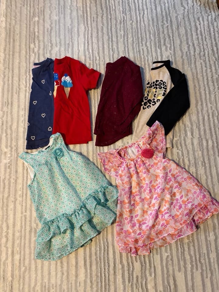14 pieces, Girls Size 3T Lot, Long Sleeve, Short Sleeves, Shorts, And Pants