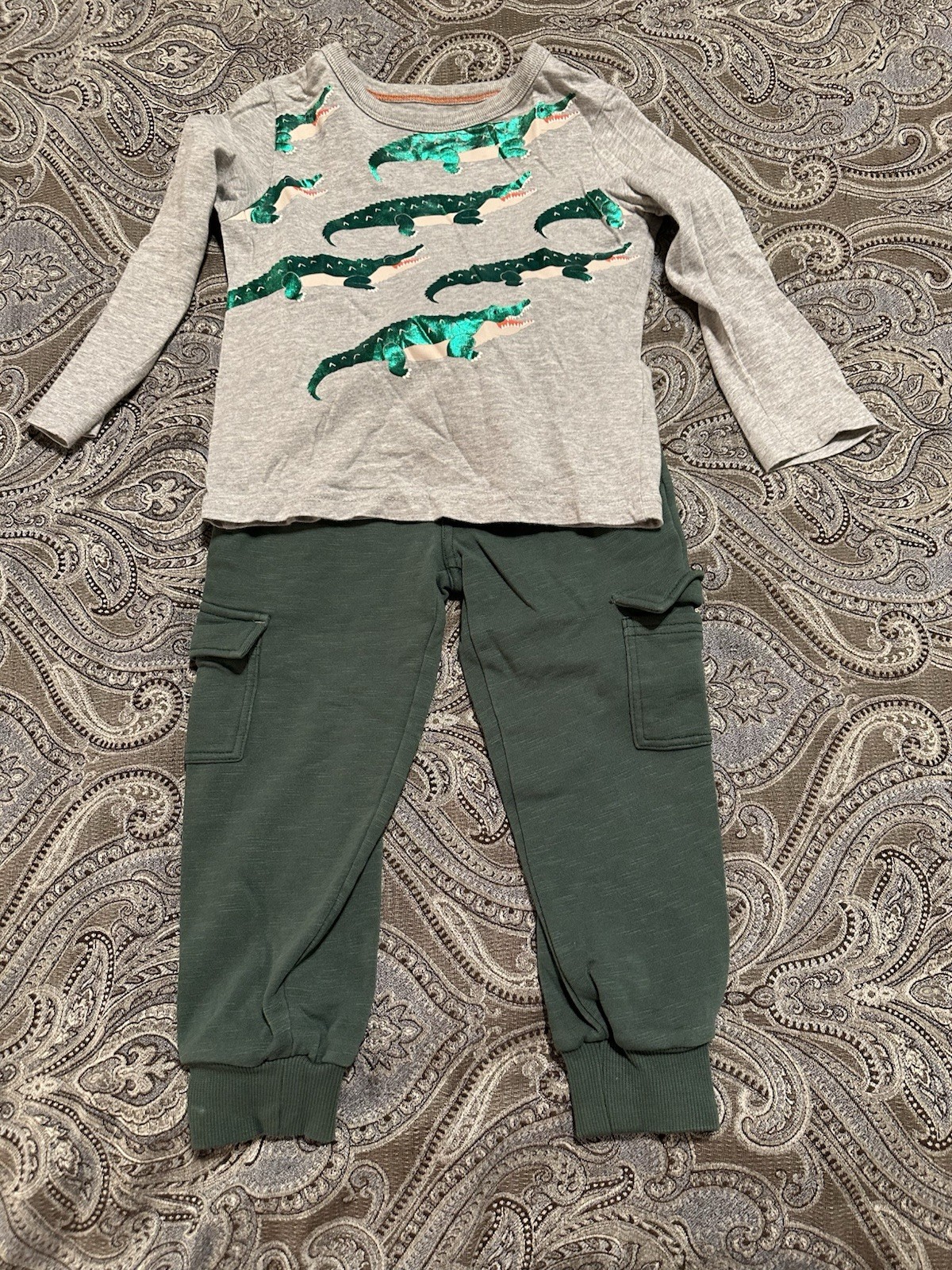Mini Biden gray long-sleeve top alligator print and solid green joggers Size 3t
