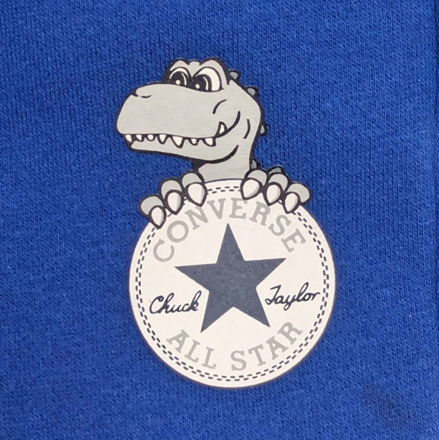 Converse Chuck Taylor All Star Graphic Dinosaur Tee & Joggers Set | Size 4T
