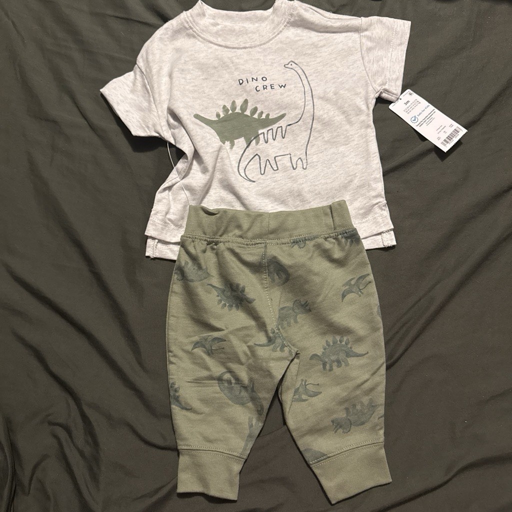 Carter’s 2-Piece T-Shirt & Pants Set Dino Graphic Gray/Green Cotton 3M