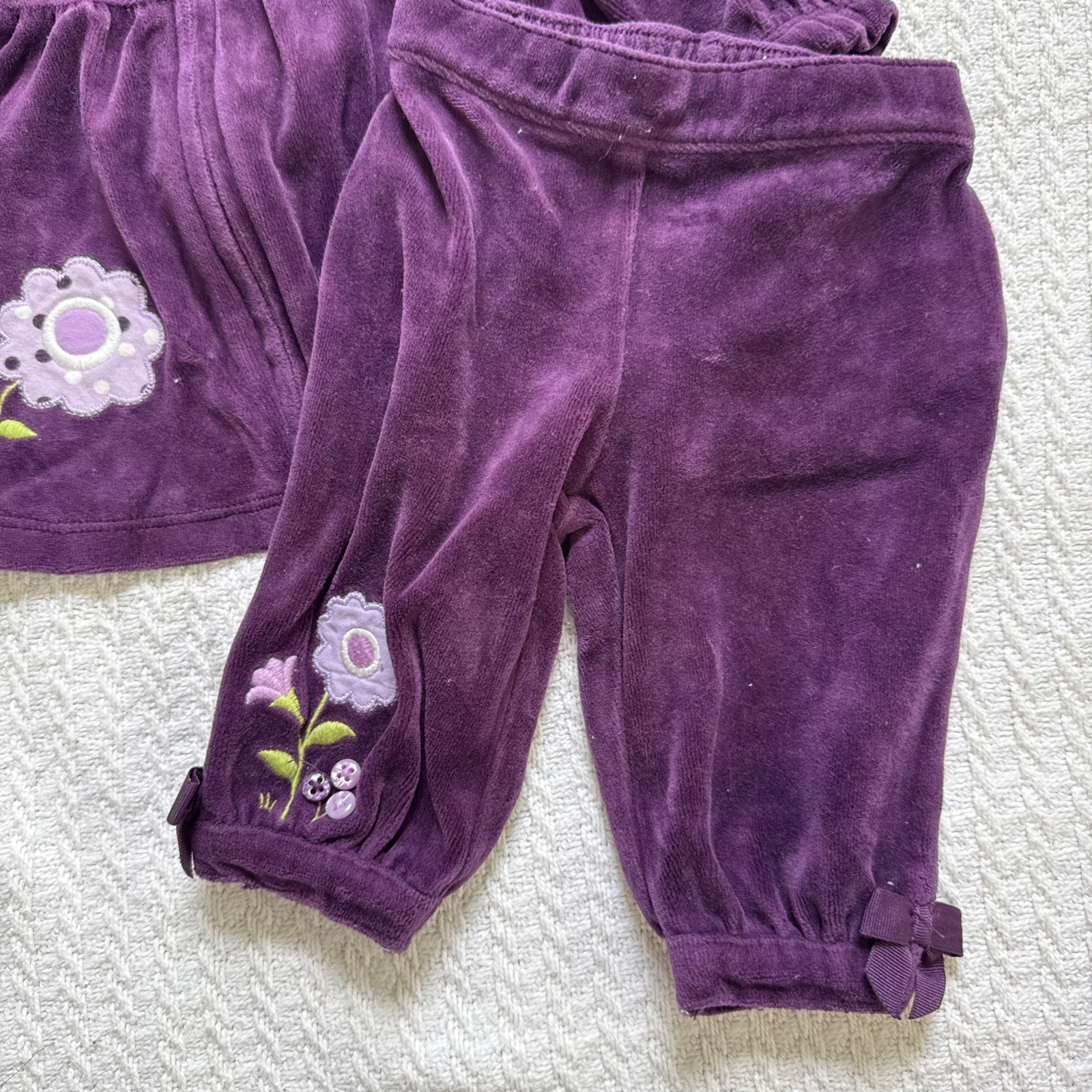Gymboree 2013 Squirrel Cutie velour zip hooded jacket pants set 0-3M