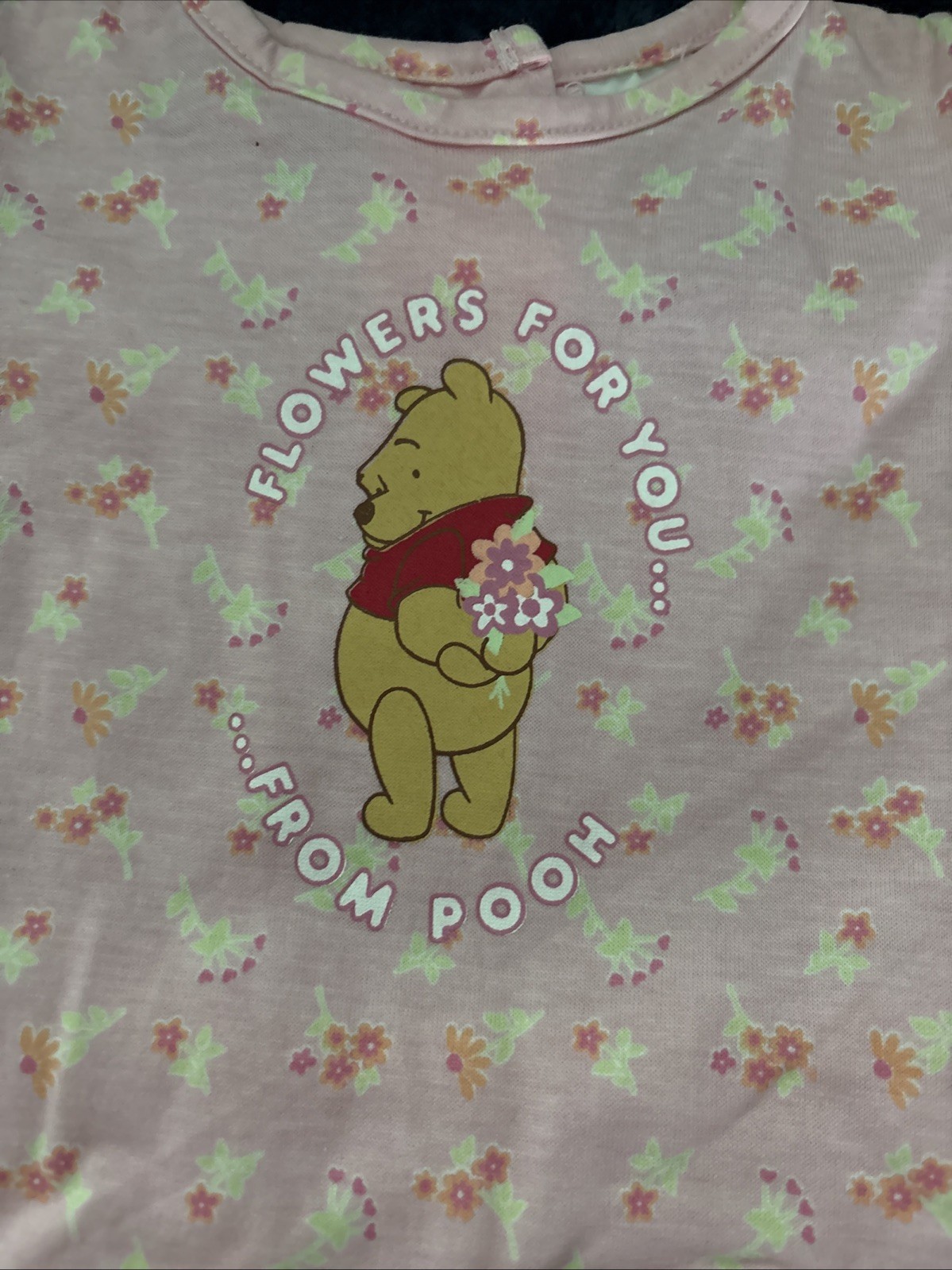 Disney 3-6 M Girl Winnie The Pooh Top & Shorts Outfit – NWT