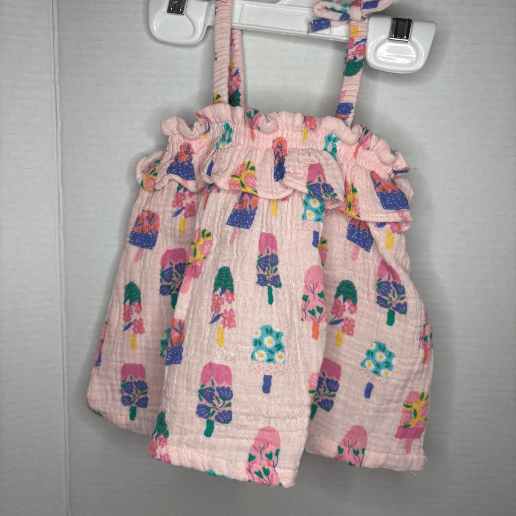 Angel Dear Baby Girl Ruffle Top and Bloomer Pink Floral Popsicles 12-18M NWT