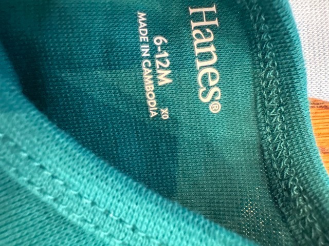 Hanes 8 Piece Set 4 Crew Neck Tee and 4 Pants Blue Green Baby Boys 6-12 New