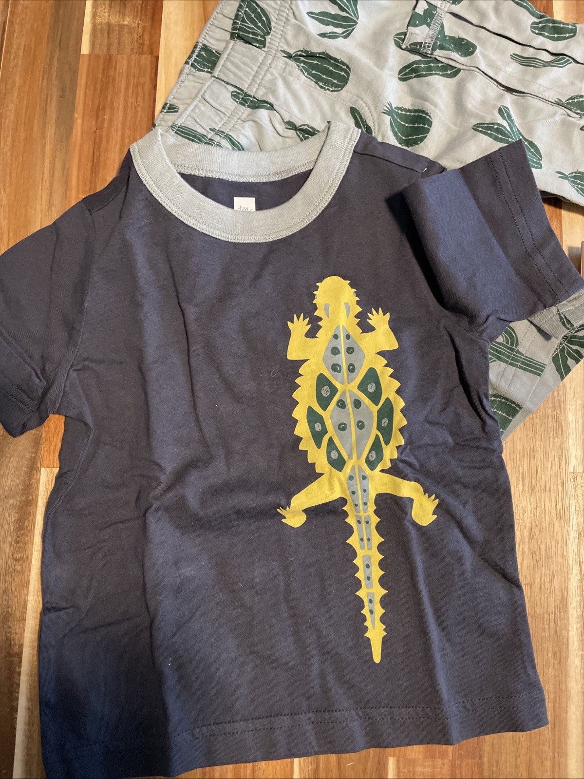 NWT TEA (from Nordstrom) Desert Lizard Baby Outfit, Indigo, 18-24 months