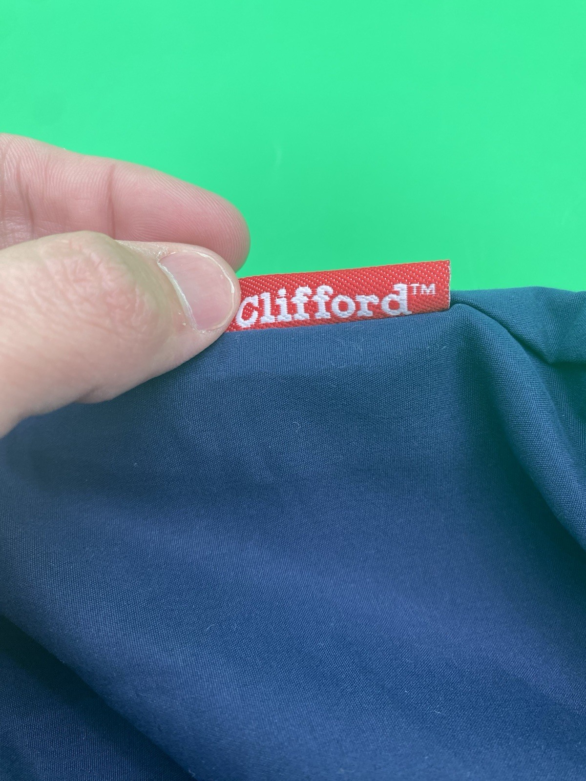 Scholastic Clifford the Big Red Dog Size 3T Short Sleeve & Pants Outfit Y2K NWT