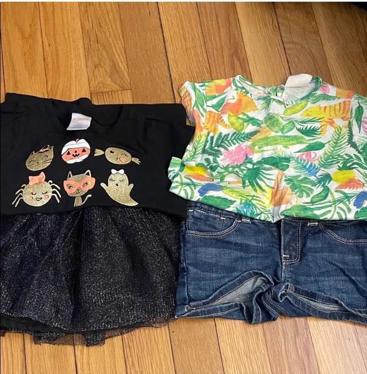 Girls 2T Toddler Clothing Lot Bundle Multiple Brands 12 Pieces