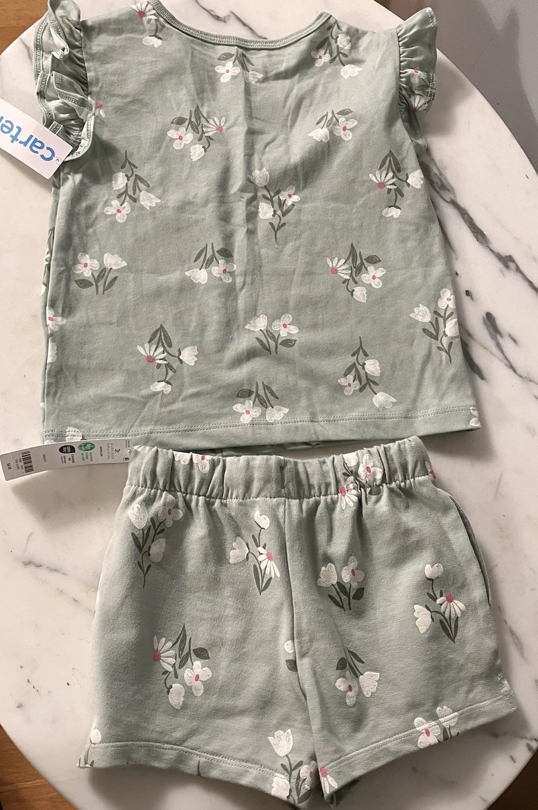 NWT Carters size 3T Light Green Floral Shirt & Shorts Set Girls