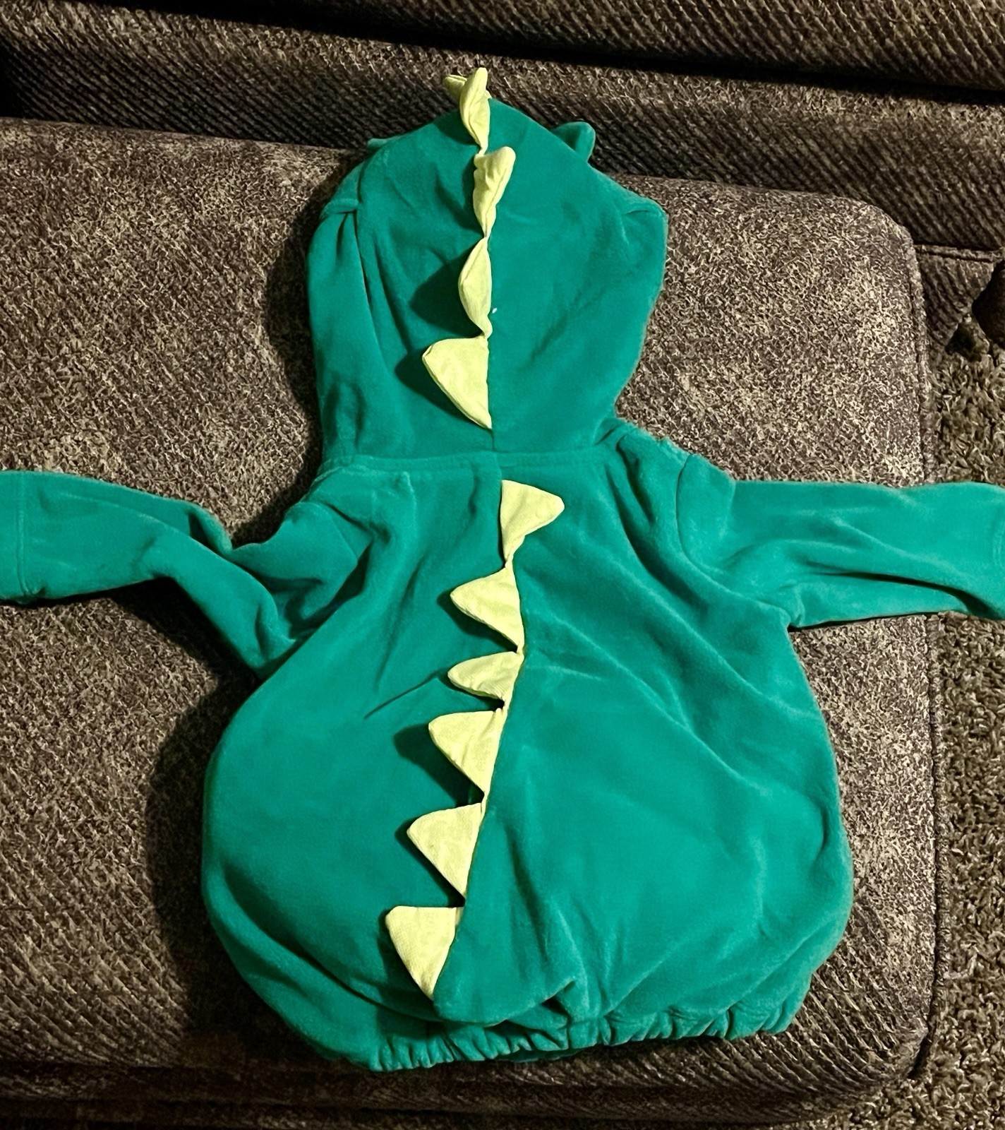 Carters 3-6 M 2 Piece Dinasour Outfit Costume Cozy Warm Fleece Cute Baby