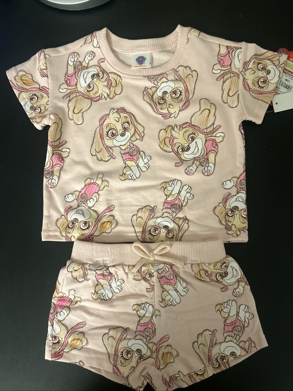 Paw Patrol Skye 12 M Pink Short Set- NWT