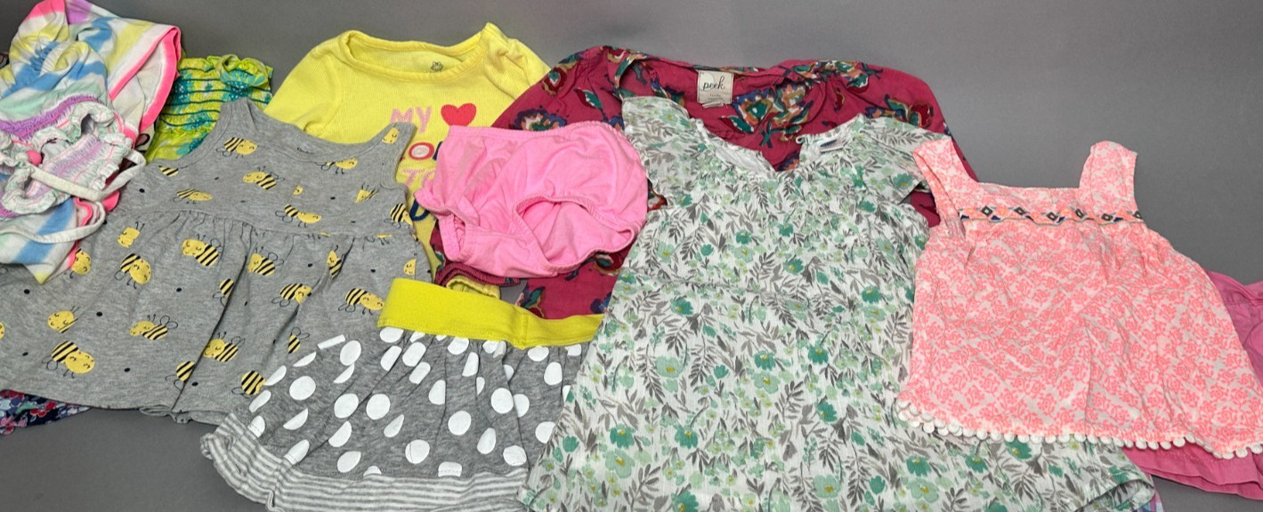Large Lot 18 Adorable Girl Clothes/Outfits-Sizes 12 Months – Great Variety!