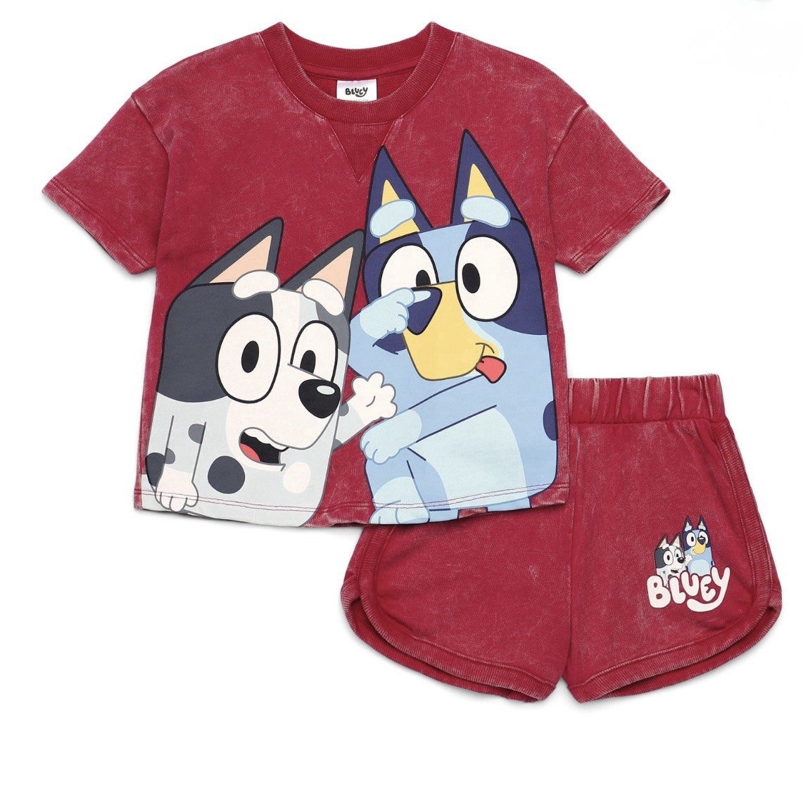 Bluey 4T Child Girls Washed Crewneck Graphic Top Shorts Set 2 Piece Size 4T New